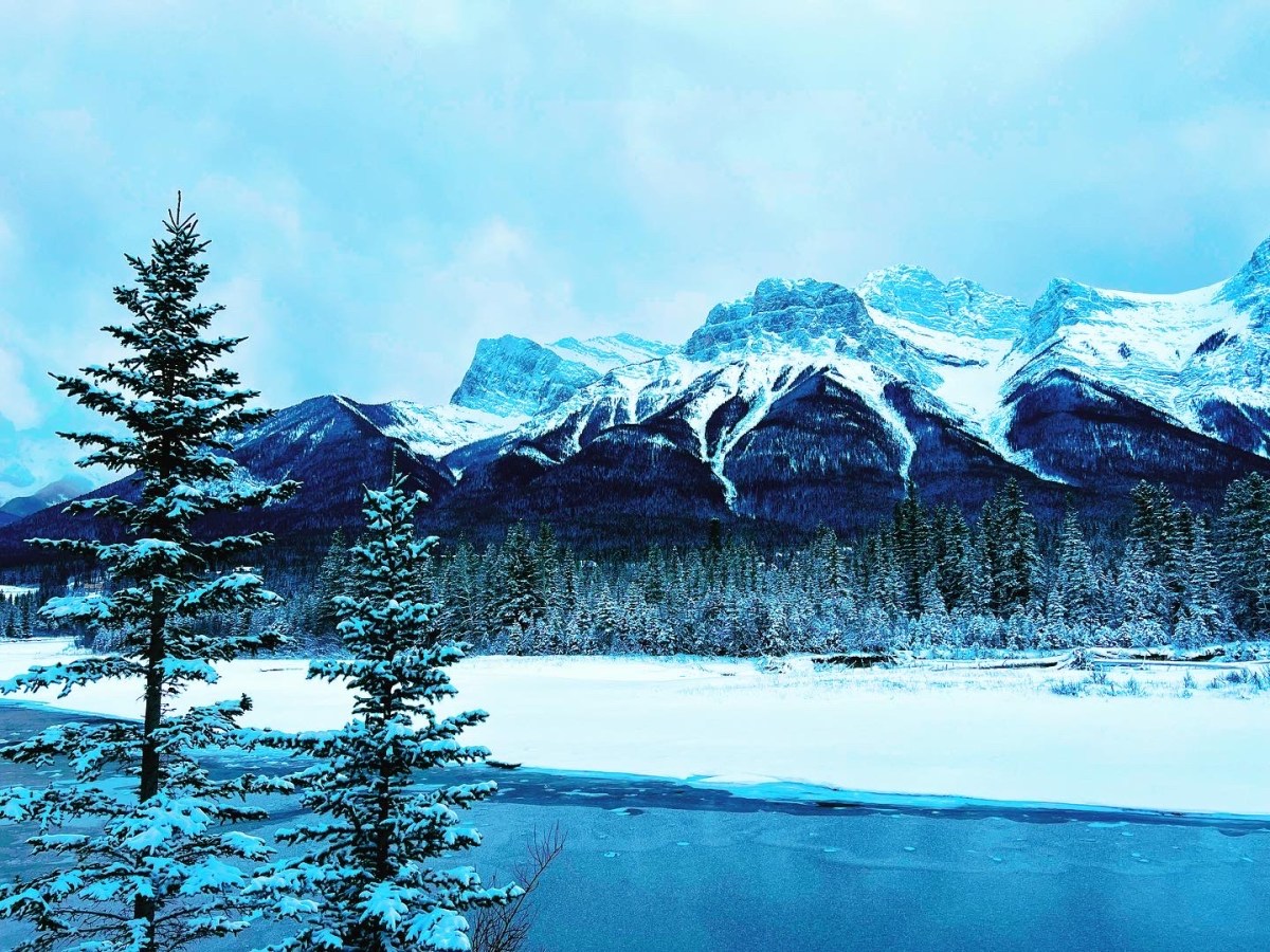 Qué será, será-ing your way through the holidays 